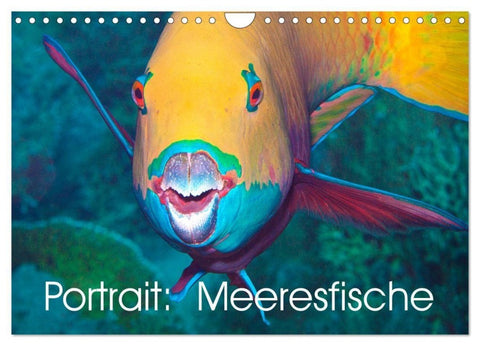 Portrait: Meeresfische (Wandkalender 2027 DIN A4 quer), CALVENDO Monatskalender
