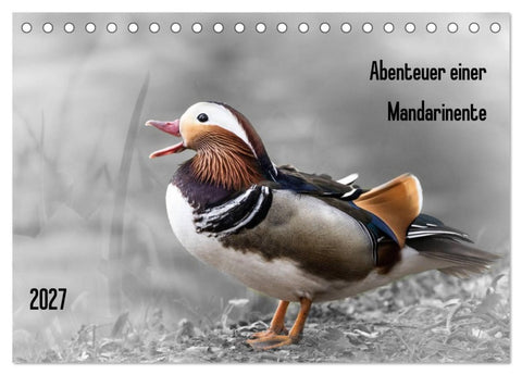 Abenteuer einer Mandarinente (Tischkalender 2027 DIN A5 quer), CALVENDO Monatskalender