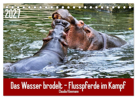 Das Wasser brodelt - Flusspferde im Kampf (Tischkalender 2027 DIN A5 quer), CALVENDO Monatskalender