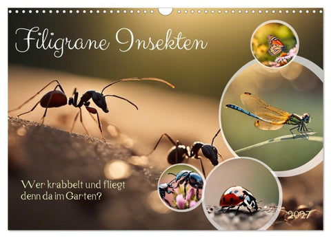 Filigrane Insekten (Wandkalender 2027 DIN A3 quer), CALVENDO Monatskalender