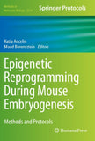Epigenetic Reprogramming During Mouse Embryogenesis
