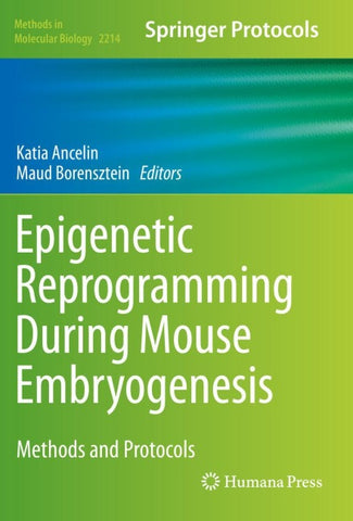 Epigenetic Reprogramming During Mouse Embryogenesis