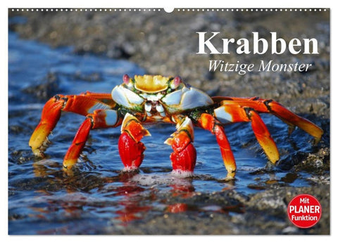 Krabben. Witzige Monster (Wandkalender 2027 DIN A2 quer), CALVENDO Monatskalender