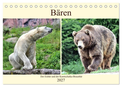 Bären - Der Eisbär und der Kamtschatka-Braunbär (Tischkalender 2027 DIN A5 quer), CALVENDO Monatskalender