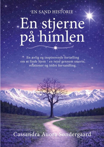 En stjerne på himlen