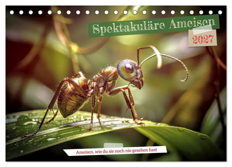 Spektakuläre Ameisen (Tischkalender 2027 DIN A5 quer), CALVENDO Monatskalender