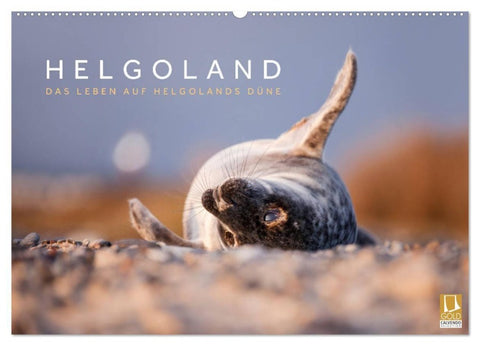 Helgoland - Das Leben auf der Düne Helgolands (Wandkalender 2027 DIN A2 quer), CALVENDO Monatskalender