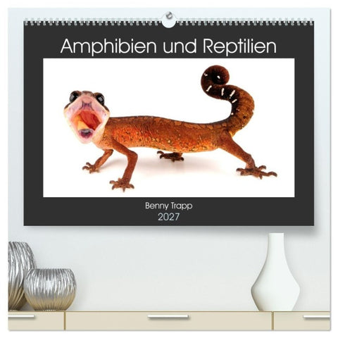 Amphibien und Reptilien (hochwertiger Premium Wandkalender 2027 DIN A2 quer), Kunstdruck in Hochglanz