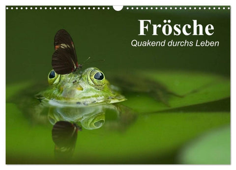 Frösche. Quakend durchs Leben (Wandkalender 2027 DIN A3 quer), CALVENDO Monatskalender