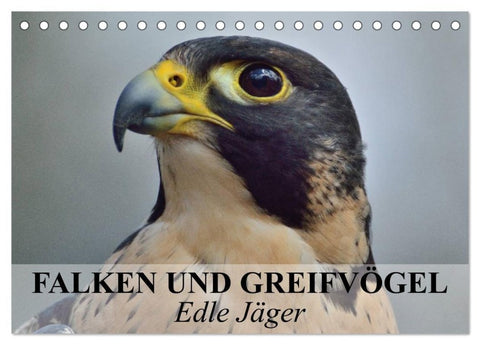 Falken und Greifvögel. Edle Jäger (Tischkalender 2027 DIN A5 quer), CALVENDO Monatskalender