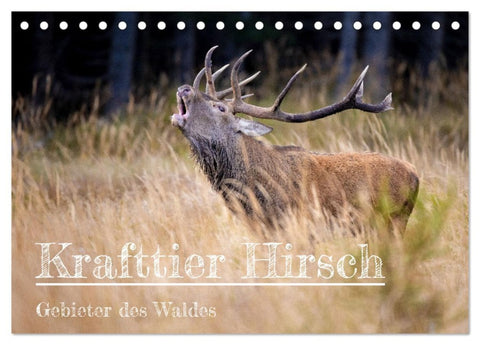 Krafttier Hirsch (Tischkalender 2026 DIN A5 quer), CALVENDO Monatskalender