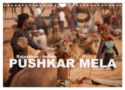 Rajasthan, Indien - Pushkar Mela (Wandkalender 2027 DIN A4 quer), CALVENDO Monatskalender