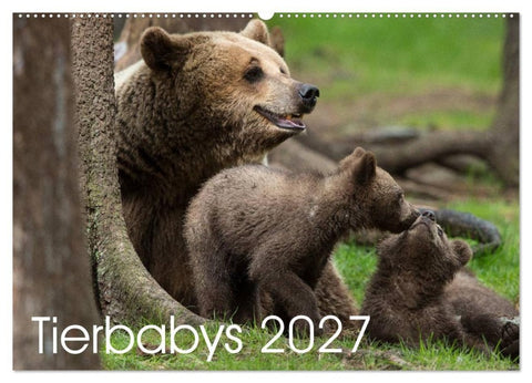 Tierbabys 2027 (Wandkalender 2027 DIN A2 quer), CALVENDO Monatskalender