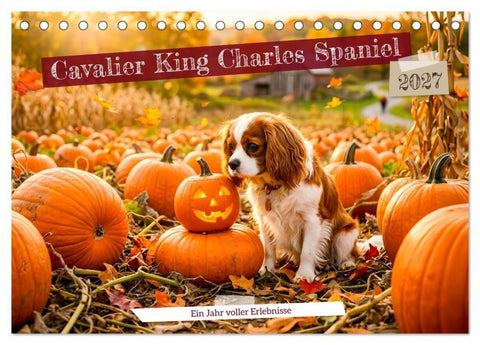 Cavalier King Charles Spaniel - Ein Jahr voller Erlebnisse (Tischkalender 2027 DIN A5 quer), CALVENDO Monatskalender