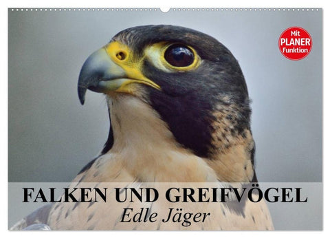 Falken und Greifvögel - Edle Jäger (Wandkalender 2027 DIN A2 quer), CALVENDO Monatskalender
