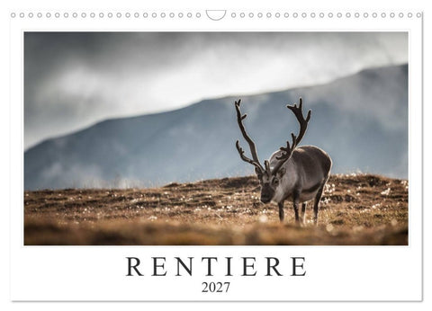 Rentiere (Wandkalender 2027 DIN A3 quer), CALVENDO Monatskalender