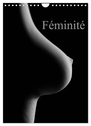 Féminité (Calendrier mural 2027 DIN A4 horizontal), CALVENDO calendrier mensuel