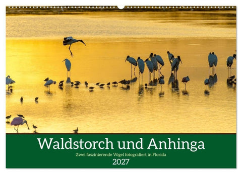 Waldstorch und Anhinga (Wandkalender 2027 DIN A2 quer), CALVENDO Monatskalender