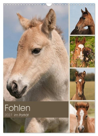 Fohlen im Porträt (Wandkalender 2027 DIN A3 hoch), CALVENDO Monatskalender