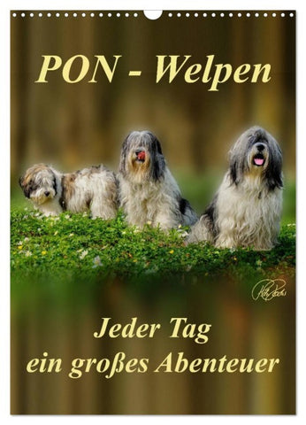 PON-Welpen - jeder Tag ein großes Abenteuer / Planer (Wandkalender 2026 DIN A3 hoch), CALVENDO Monatskalender