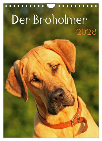 Der Broholmer (Wandkalender 2026 DIN A4 hoch), CALVENDO Monatskalender