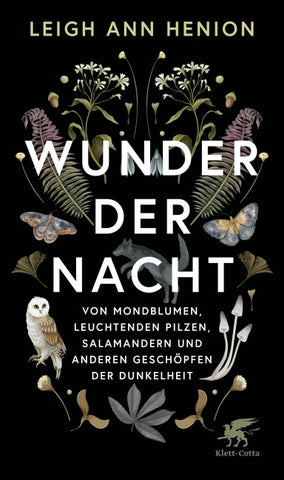 Wunder der Nacht