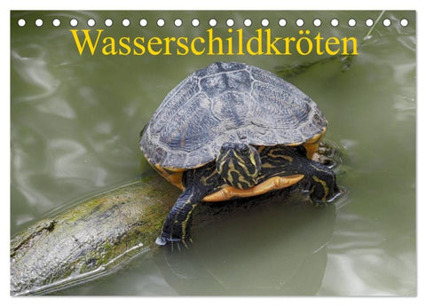Wasserschildkröten (Tischkalender 2027 DIN A5 quer), CALVENDO Monatskalender