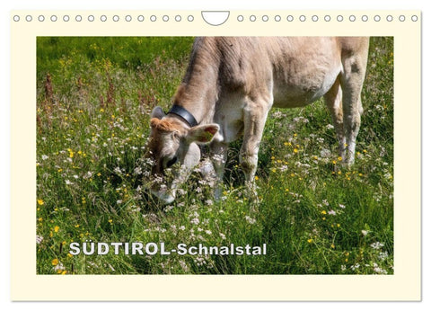 SÜDTIROL-Schnalstal (Wandkalender 2027 DIN A4 quer), CALVENDO Monatskalender