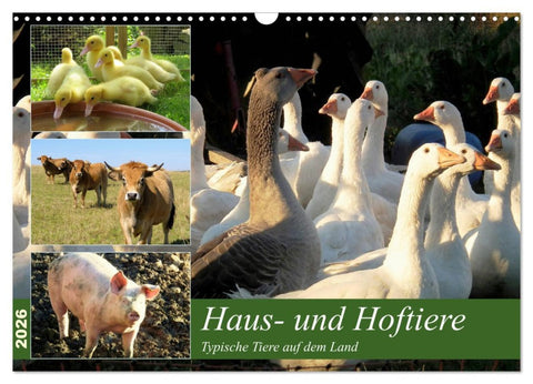 Haus- und Hoftiere (Wandkalender 2026 DIN A3 quer), CALVENDO Monatskalender