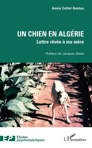 Un chien en Algérie