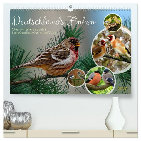 Deutschlands Finken (hochwertiger Premium Wandkalender 2027 DIN A2 quer), Kunstdruck in Hochglanz