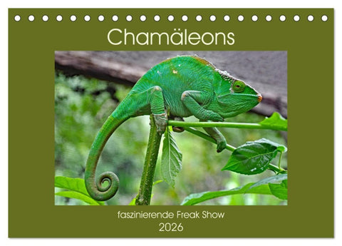 Chamäleons - faszinierende Freak Show (Tischkalender 2026 DIN A5 quer), CALVENDO Monatskalender