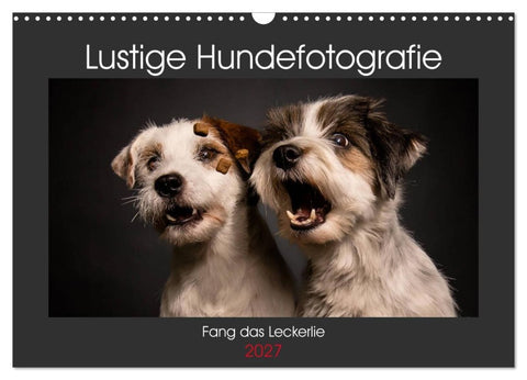 Fang das Leckerlie (Wandkalender 2027 DIN A3 quer), CALVENDO Monatskalender