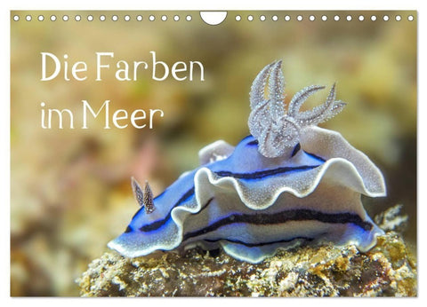 Die Farben im Meer (Wandkalender 2027 DIN A4 quer), CALVENDO Monatskalender