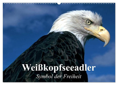 Weißkopfseeadler. Symbol der Freiheit (Wandkalender 2026 DIN A2 quer), CALVENDO Monatskalender