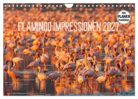 Flamingo Impressionen 2027 (Wandkalender 2027 DIN A4 quer), CALVENDO Monatskalender