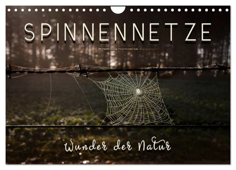 Spinnennetze - Wunder der Natur (Wandkalender 2026 DIN A4 quer), CALVENDO Monatskalender