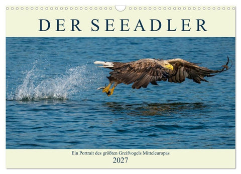 DER SEEADLER Ein Portrait des größten Greifvogels Mitteleuropas (Wandkalender 2027 DIN A3 quer), CALVENDO Monatskalender