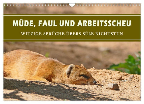 Müde, faul und arbeitsscheu (Wandkalender 2027 DIN A3 quer), CALVENDO Monatskalender