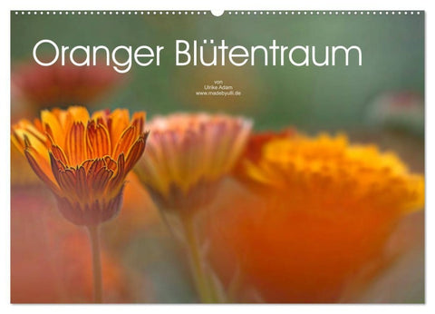 Oranger Blütentraum (Wandkalender 2027 DIN A2 quer), CALVENDO Monatskalender