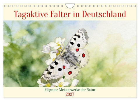 Tagaktive Falter in Deutschland (Wandkalender 2027 DIN A4 quer), CALVENDO Monatskalender