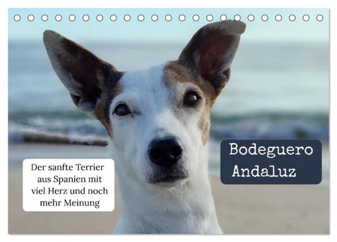 Ratonero Bodeguero Andaluz (Tischkalender 2027 DIN A5 quer), CALVENDO Monatskalender