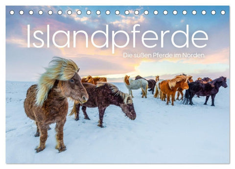 Islandpferde - Die süßen Pferde im Norden. (Tischkalender 2027 DIN A5 quer), CALVENDO Monatskalender