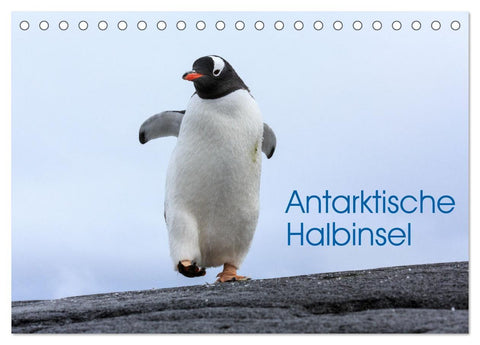 Antarktische Halbinsel (Tischkalender 2027 DIN A5 quer), CALVENDO Monatskalender