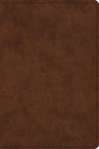 Study Bible-ESV-Personal Size