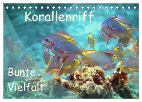 Bunte Vielfalt im Korallenriff (Tischkalender 2027 DIN A5 quer), CALVENDO Monatskalender