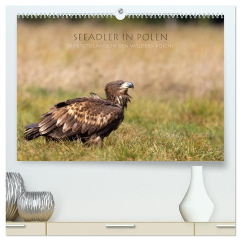 Seeadler in Polen (hochwertiger Premium Wandkalender 2027 DIN A2 quer), Kunstdruck in Hochglanz