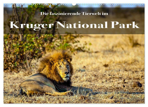 Faszinierende Tierwelt des Kruger National Parks (Wandkalender 2027 DIN A2 quer), CALVENDO Monatskalender