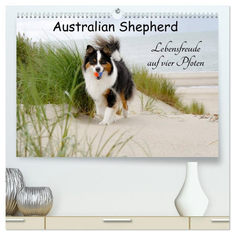 Australian Shepherd - Lebensfreude auf vier Pfoten (hochwertiger Premium Wandkalender 2026 DIN A2 quer), Kunstdruck in Hochglanz