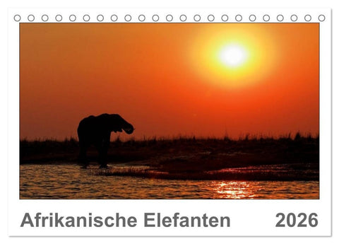 Afrikanische Elefanten (Tischkalender 2026 DIN A5 quer), CALVENDO Monatskalender